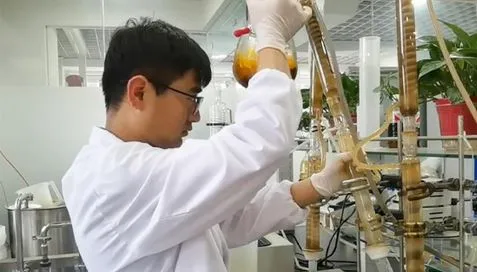 Aanpassen Black Pepper Extract Gerelateerde product