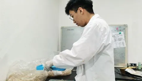 Onze Extract Poeder Capsule Shell Verpakking