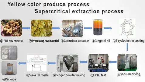 Wat is het productieproces van gemberextractpoeder?