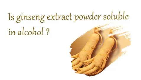 Is Ginseng-extractpoeder oplosbaar in alcohol?