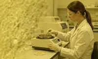 Waarom is Fisetin toonaangevend in Senolytics in 2026?